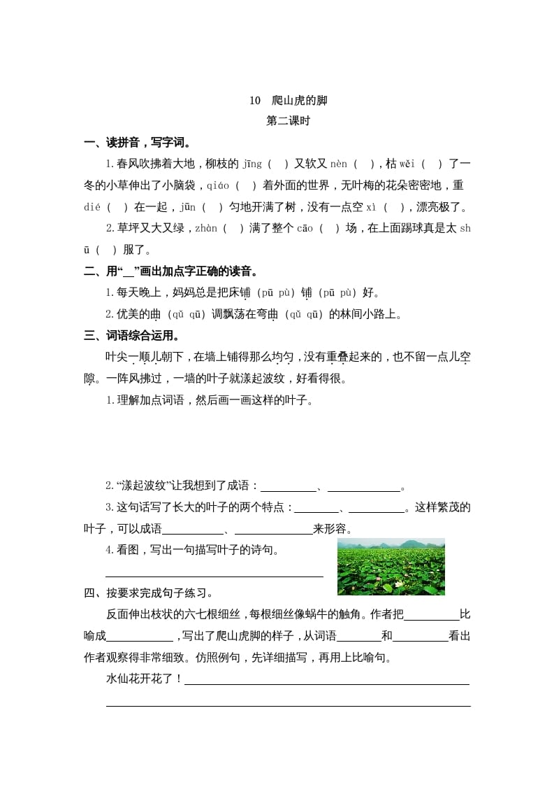 图片[3]-四年级语文上册10爬山虎的脚-学科资源库