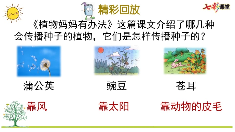 图片[2]-二年级语文上册专项5：课文知识点复习课件（部编）-学科资源库