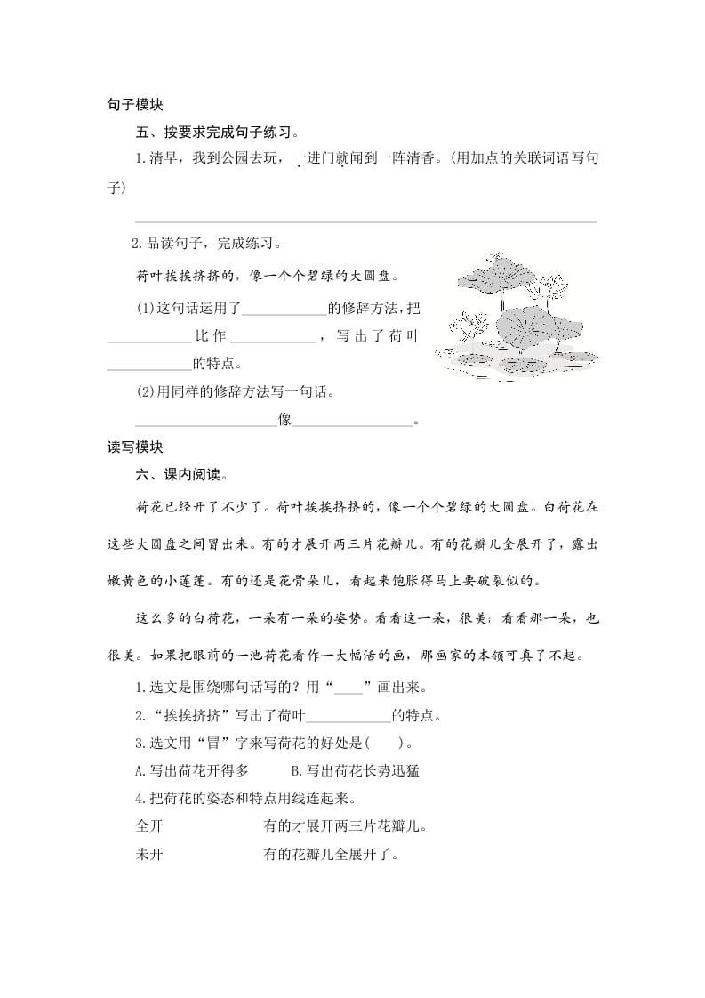 图片[2]-三年级语文下册3荷花-学科资源库
