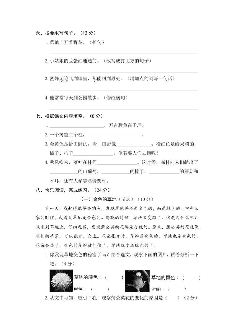 图片[2]-三年级语文上册期末练习(11)（部编版）-学科资源库