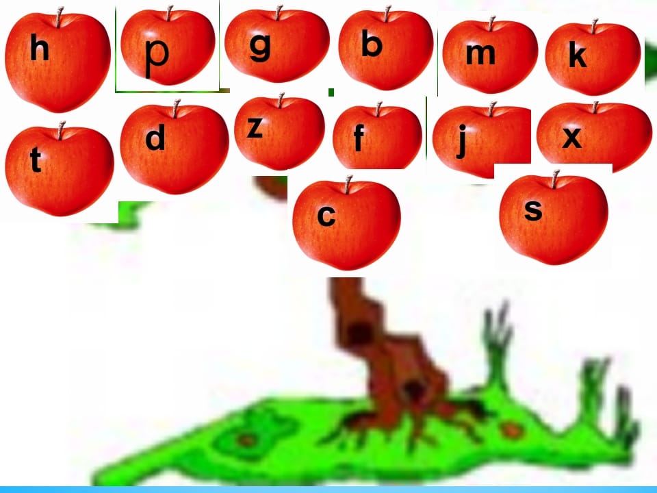 一年级语文上册8.zhchshr课件3（部编版）-学科资源库