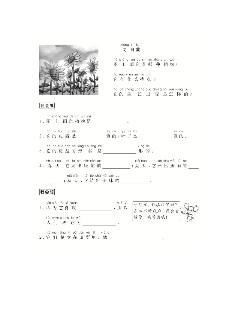 图片[2]-二年级语文上册（跟我学写话）写物（5篇）（部编）-学科资源库