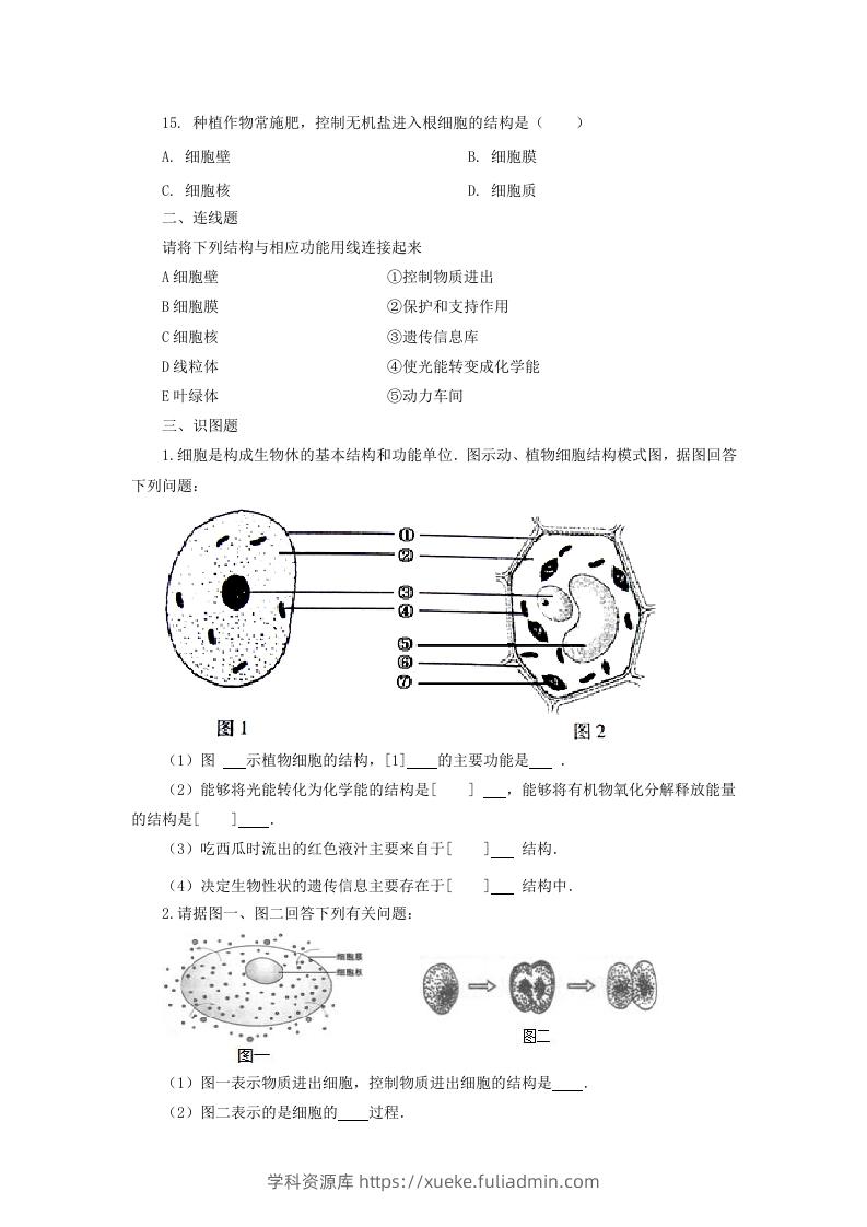 图片[3]-七年级上册生物第二单元第一章第四节试卷及答案(Word版)-学科资源库