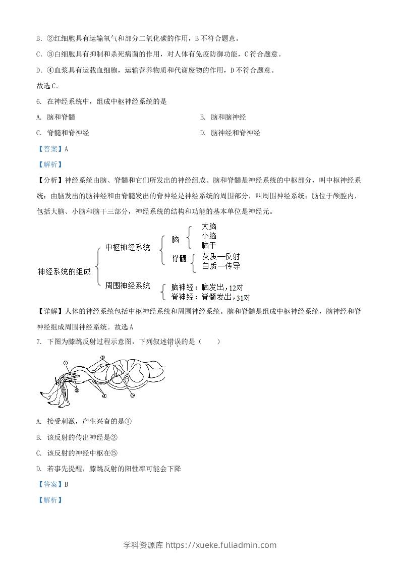 图片[3]-2024年上海中考生物试题及答案(Word版)-学科资源库