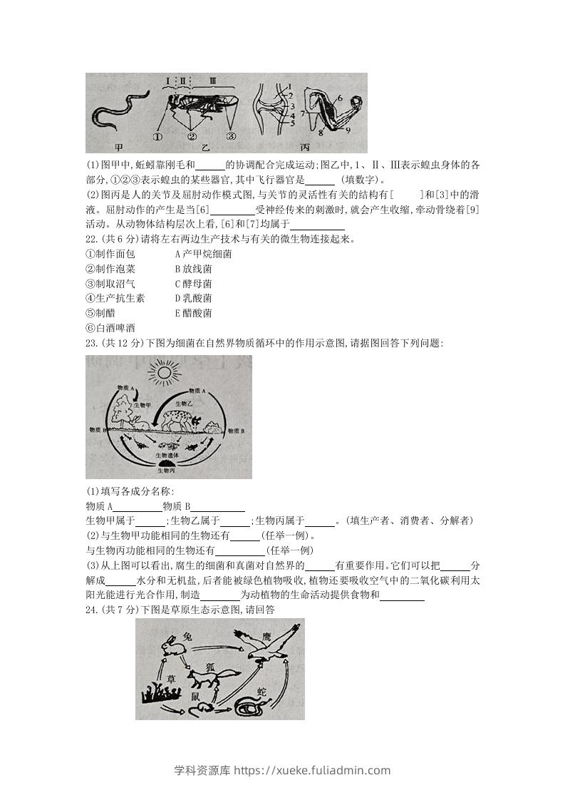 图片[3]-2020-2021学年河南省新乡市卫辉市八年级上学期期中生物试题及答案(Word版)-学科资源库