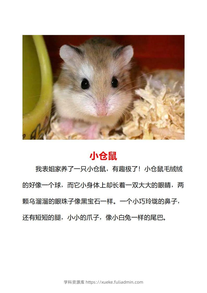 图片[2]-二年级上册语文口语交际一“有趣的动物”指导及范文-学科资源库