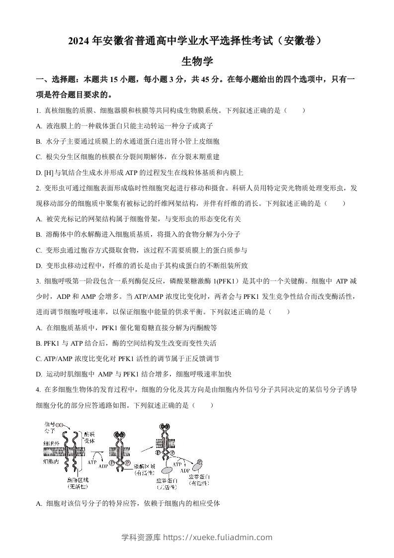 2024年高考生物试卷（安徽）（空白卷）-学科资源库