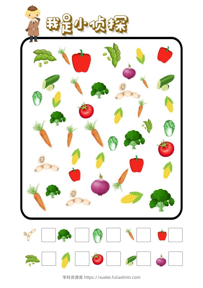 图片[2]-专注力训练-我是小侦探-学科资源库